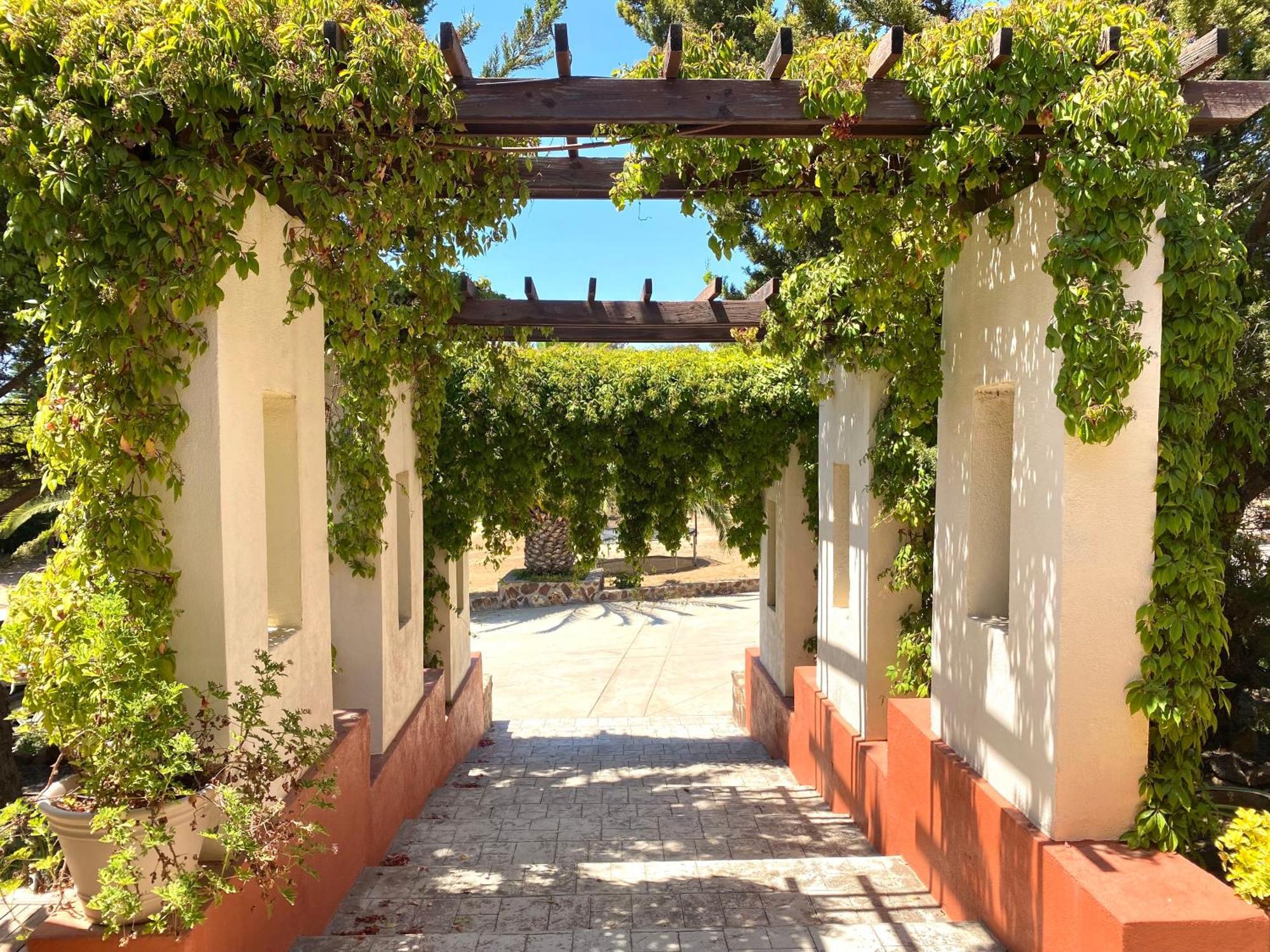 Hotel Tierra Mia Hacienda Ruta Del Vino à Valle de Guadalupe Extérieur photo